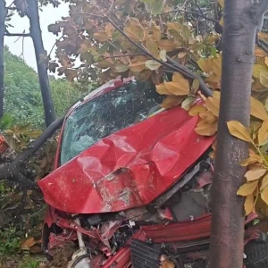 ���һ����H���ܣ�����܇�_���˘��